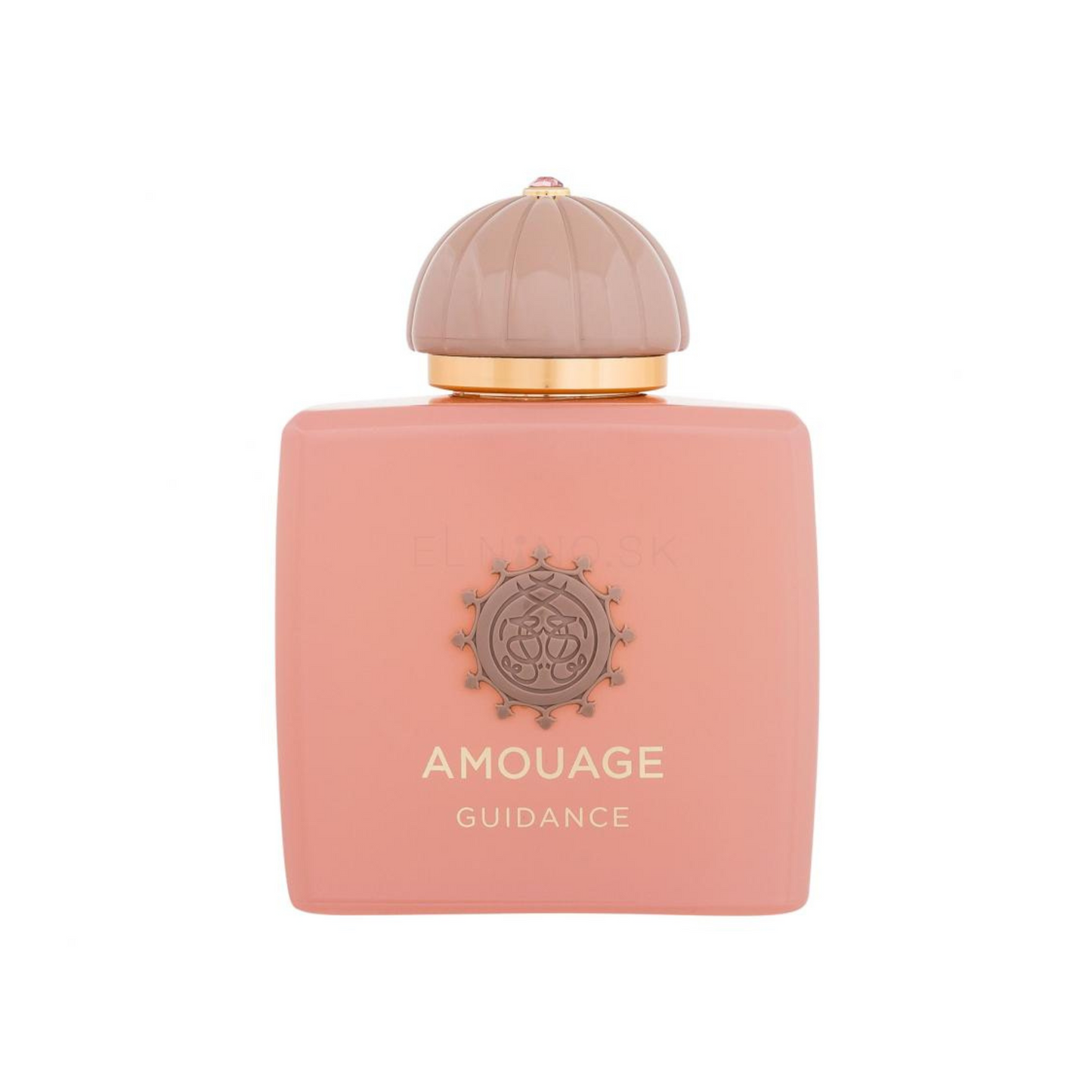 Amouage Guidance